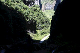 山间峡谷绿意盎然景观