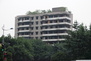 高楼被绿树环绕的景象