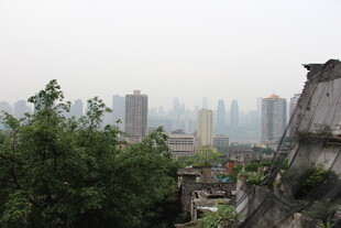 城市远景与绿植相映成趣