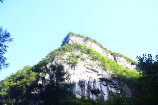 巍峨青山绿意浓