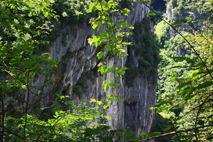 山林间的峭壁景色