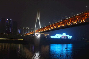 城市夜景中的桥梁与游船