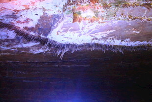 梦幻海底景观 绚丽光影