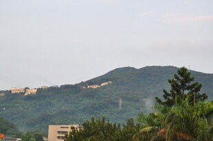 山景中的城市与绿树