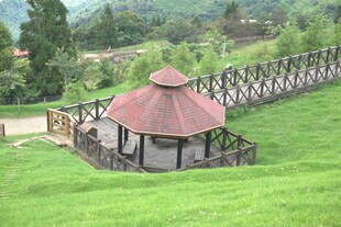 田园中的木质凉亭与栈桥