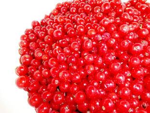 红浆果