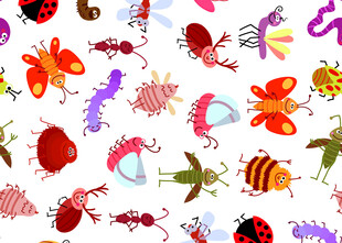 多彩昆虫图案背景