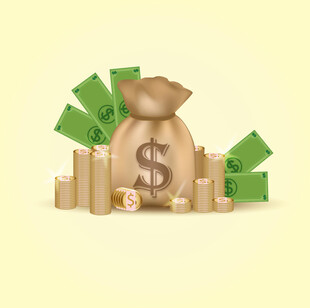 钱袋与金币钞票的财富图景