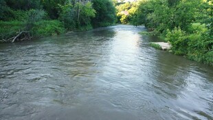 潺潺溪流穿林而过