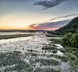 夕阳下的湿地风光