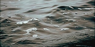 波光粼粼的水面