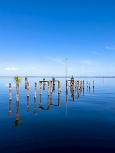 海上木桩 静谧蓝色水域