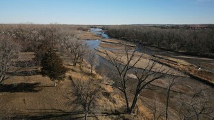 冬日河畔枯树风景