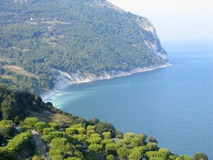 海岸青山绿水美丽风光