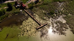 俯瞰荒废水塘与周边景象