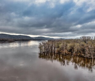 湖畔风光 枯树与多云天色