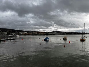 阴天下的宁静港湾