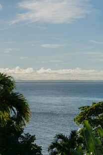 海边绿植环绕的蔚蓝景致