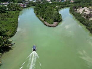 河上快艇穿行于葱郁两岸