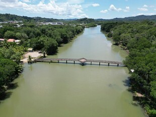 河畔桥梁风景图