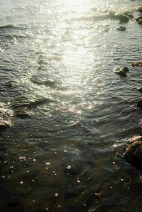 阳光下波光粼粼的水面