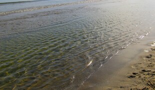 海边沙滩 波光粼粼的海水