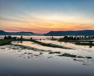 夕阳下的宁静水田风光