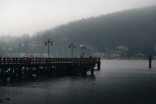 雾中湖畔码头景象