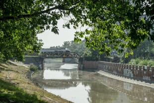 河畔绿荫下的静谧水道