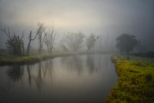 雾中河畔静谧风光