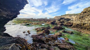 海岸边的岩石与浅滩风光