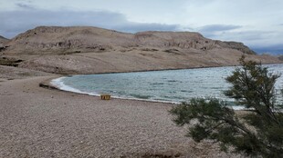 海边沙滩与孤树风景