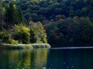 湖畔秋色 山林倒映美景