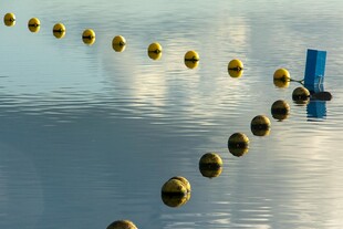 水面上的浮标排列景观