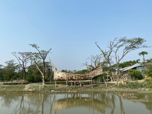 湖畔枯树与简易吊桥