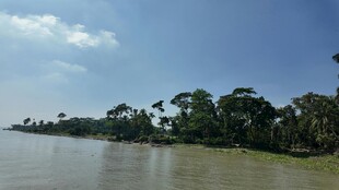 河畔绿树蓝天的自然景致