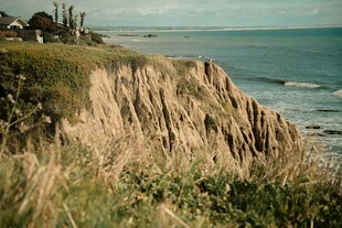 海岸边的陡峭崖壁与植被