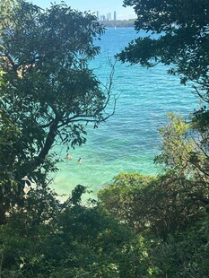 透过树林望碧海蓝天