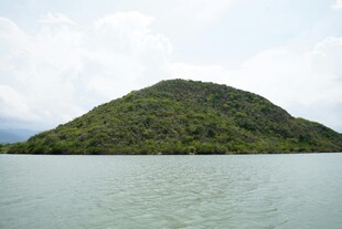 湖中小岛绿意盎然