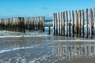 海边木桩防波堤景观