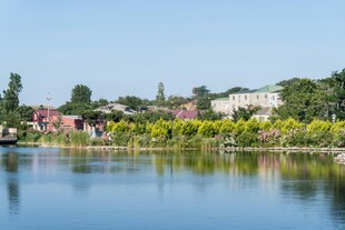 湖畔风光 宁静自然景致