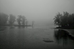雾中静谧湖面与岸边树木