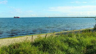 海边景致 绿草与辽阔海面