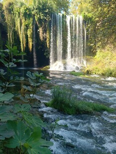 林间瀑布下的自然美景