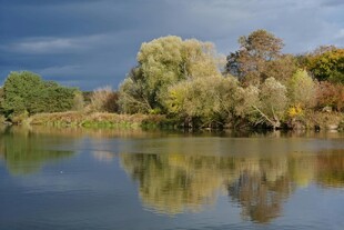 湖畔秋景 静谧湖水映绿树