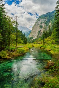 山间碧绿水畔秀丽风光