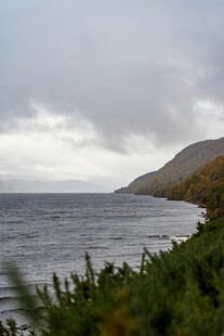 海边风景 绿植与辽阔海面