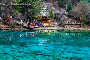 清澈蓝湖中的戏水 客