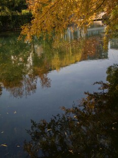 秋日湖畔倒影美景