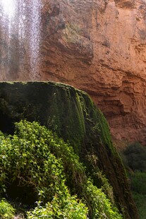 山间瀑布下的葱郁绿植